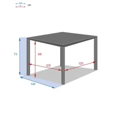 Table de jardin carrée PIAZZA Graphite