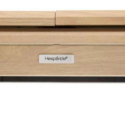 Table de jardin extensible rectangulaire AXIOME Argile / Honey